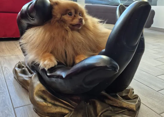 Honey House - Vista E Montagne *